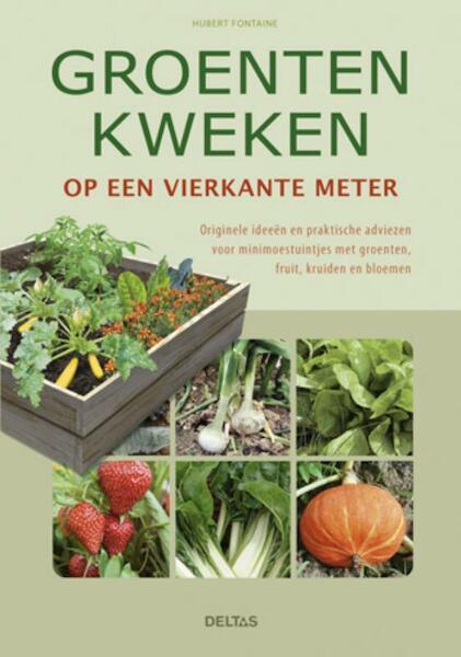 Groenten kweken op een vierkante meter - Hubert Fontaine (ISBN 9789044732252)