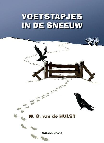 Voetstapjes in de sneeuw - W.G. van de Hulst (ISBN 9789026609053)