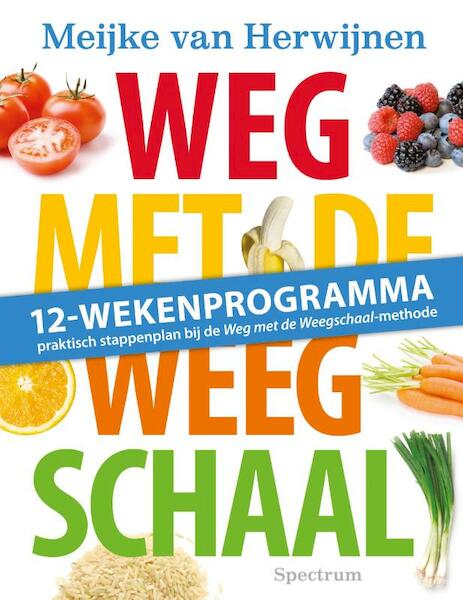 Weg met de weegschaal 12-wekenprogramma - Meijke van Herwijnen (ISBN 9789000314713)