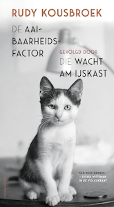 De aaibaarheidsfactor - Rudy Kousbroek (ISBN 9789025440749)