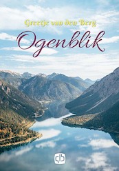 Ogenblik - Greetje van den Berg (ISBN 9789036436465)