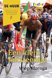 Een klein kutsteentje - Wiep Idzenga (ISBN 9789462251250)