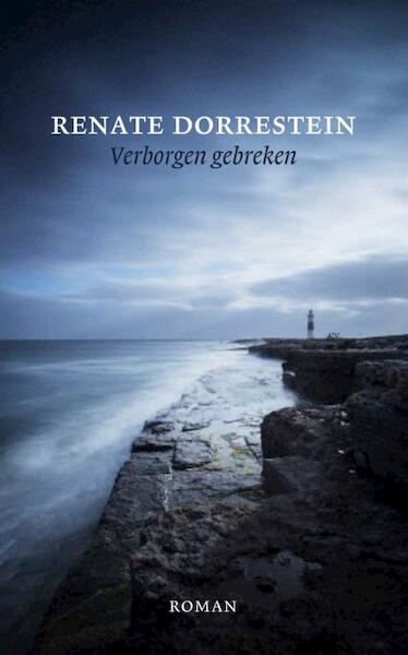 Verborgen gebreken - Renate Dorrestein (ISBN 9789490647353)