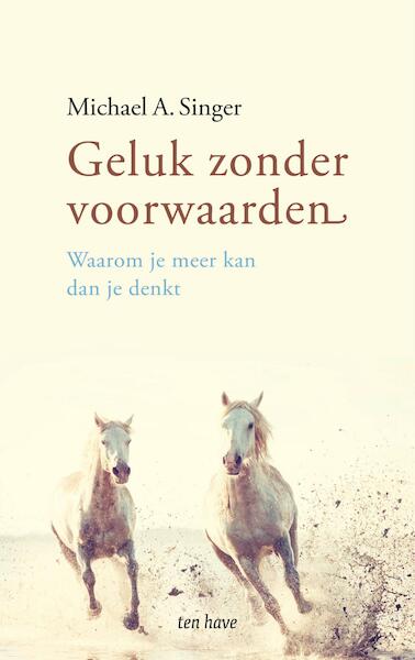 Geluk zonder voorwaarden - Michael A. Singer (ISBN 9789025904760)