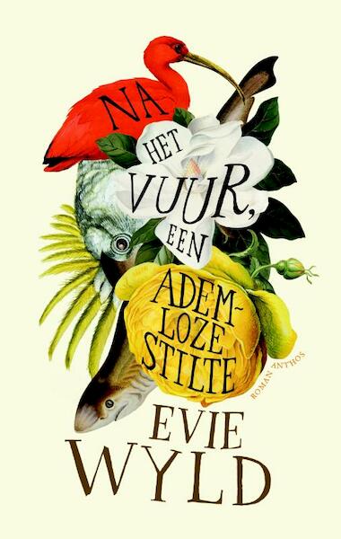 Na het vuur, een ademloze stilte - Evie Wyld (ISBN 9789041416469)