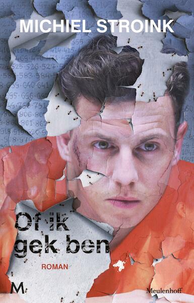 Of ik gek ben - Michiel Stroink (ISBN 9789460231667)