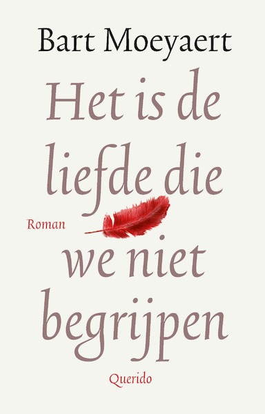 Het is de liefde die we niet begrijpen - Bart Moeyaert (ISBN 9789021419947)