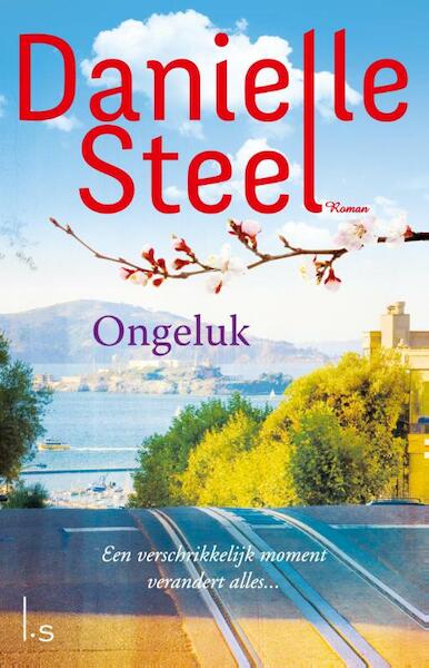 Ongeluk - Danielle Steel (ISBN 9789021810171)