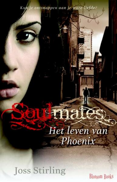 Het verhaal van Phoenix - Joss Stirling (ISBN 9789020632675)