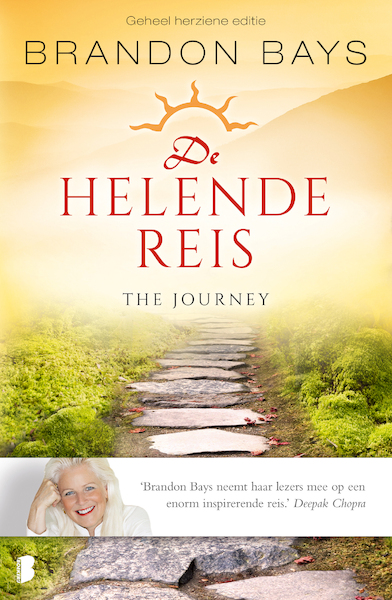 De helende reis - Brandon Bays (ISBN 9789022571835)