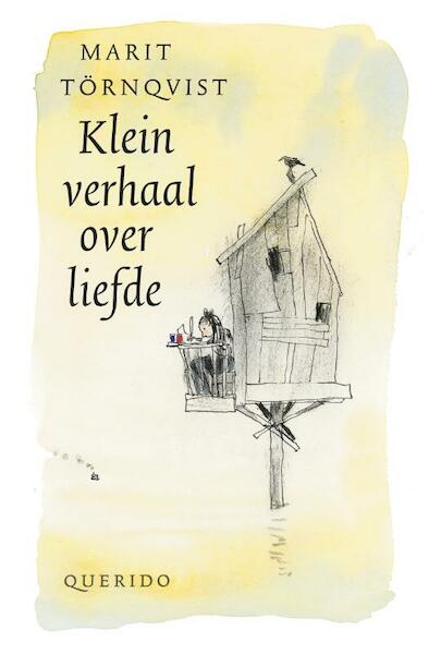 Klein verhaal over liefde - Marit Törnqvist (ISBN 9789045120997)