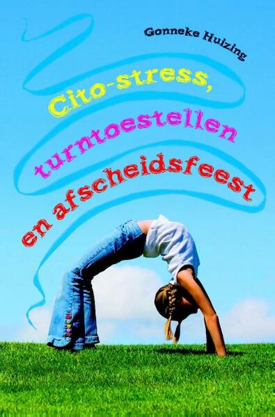 Citostress, turntoestellen en afscheidsfeest - Gonneke Huizing (ISBN 9789025112516)