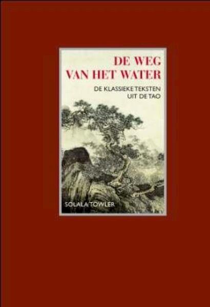 De weg van het water - Solala Towler, Zhuang Zi (ISBN 9789025961251)