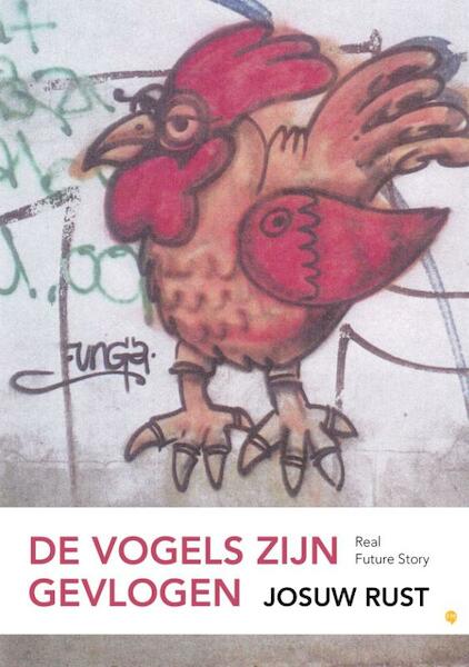 De vogels zijn gevlogen - Josuw Rust (ISBN 9789048433100)