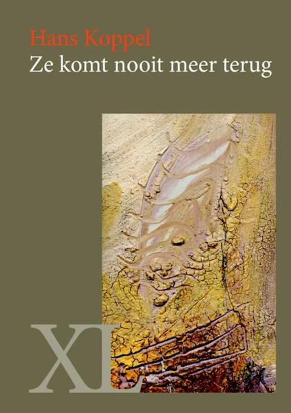 Ze komt nooit meer terug - Hans Koppel (ISBN 9789046309544)