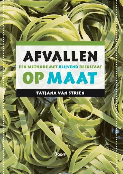 Afvallen op maat - T. van Strien (ISBN 9789085064596)