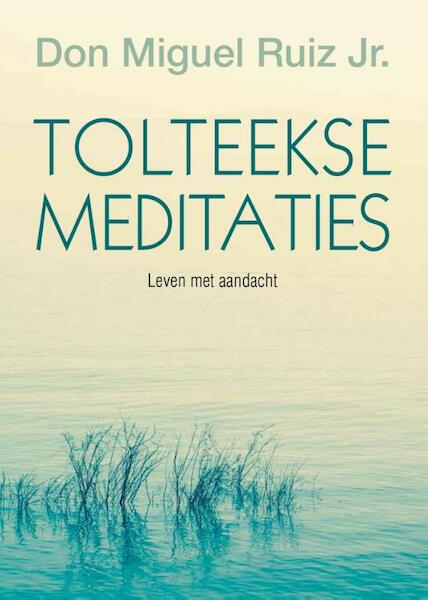 Tolteekse meditaties - Don Miguel Ruiz (ISBN 9789020211108)