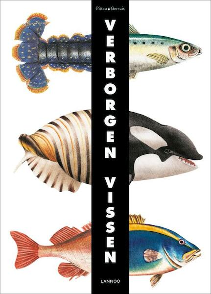 Verborgen vissen - Pittau & Gervais (ISBN 9789401404389)