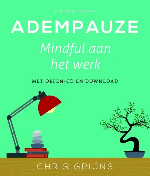 Adempauze - Chris Grijns (ISBN 9789025904531)