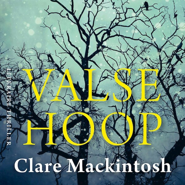 Valse hoop - Clare Mackintosh (ISBN 9789026149634)