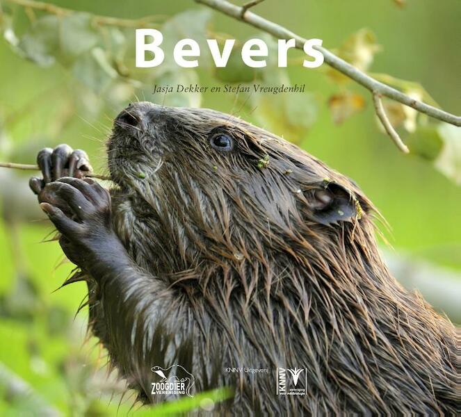 Bevers - Jasja Dekker, Stefan Vreugdenhil (ISBN 9789050114288)