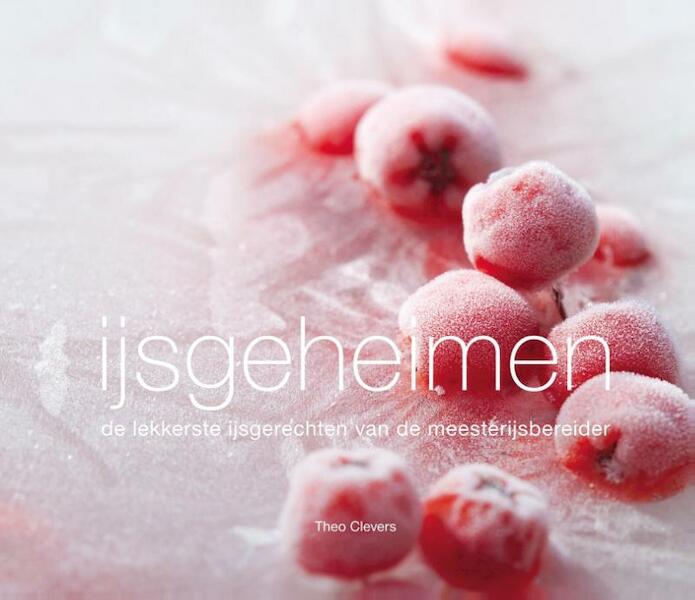 IJsgeheimen - Theo Clevers (ISBN 9789081653442)