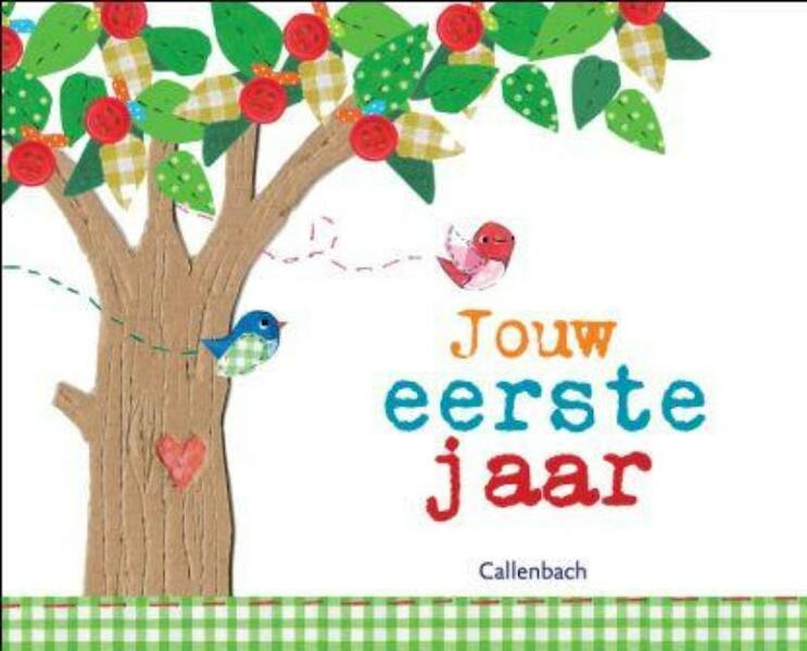 Jouw eerste jaar - Nelleke Scherpbier (ISBN 9789026620973)